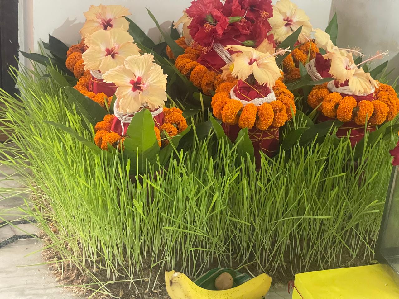 Teaching, ceremony and Vedic practice.