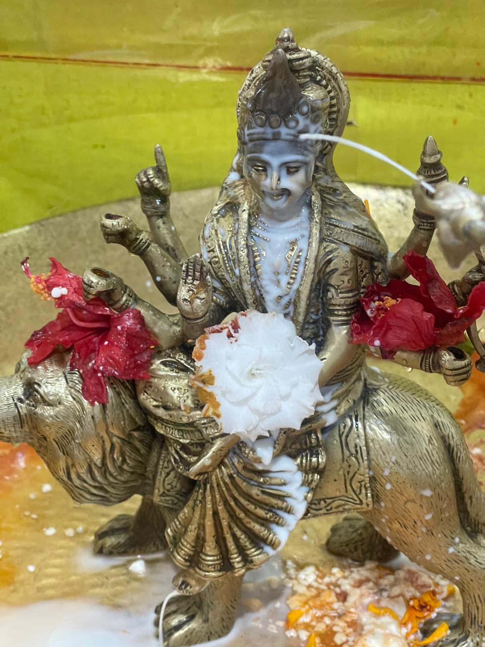 Teaching, ceremony and Vedic practice.