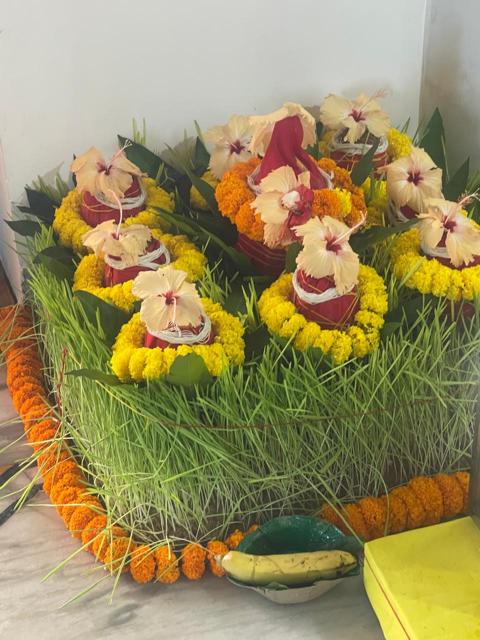 Teaching, ceremony and Vedic practice.