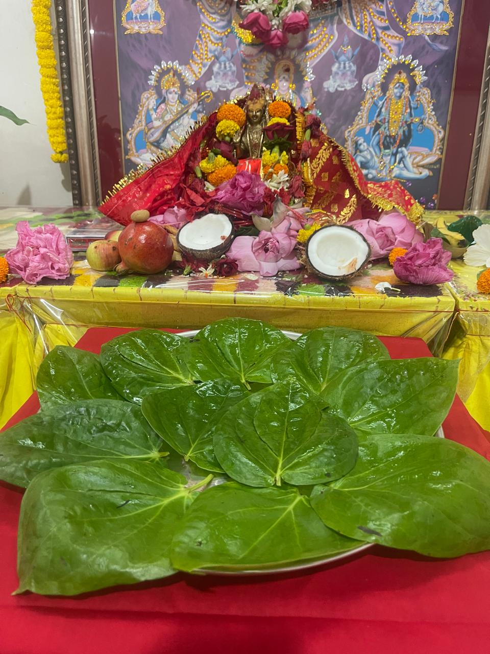 Teaching, ceremony and Vedic practice.