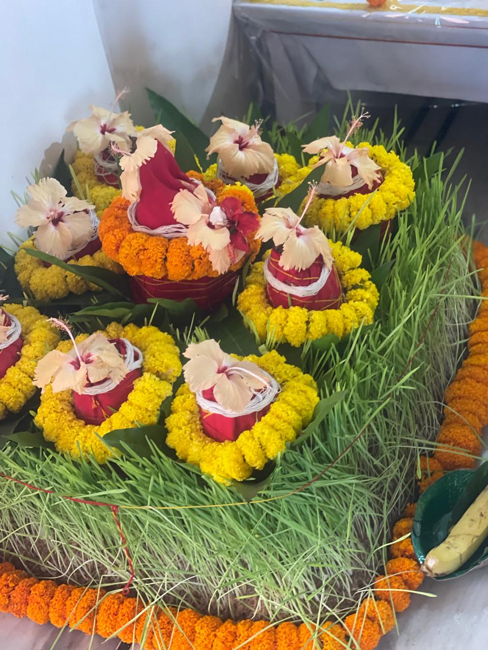 Teaching, ceremony and Vedic practice.