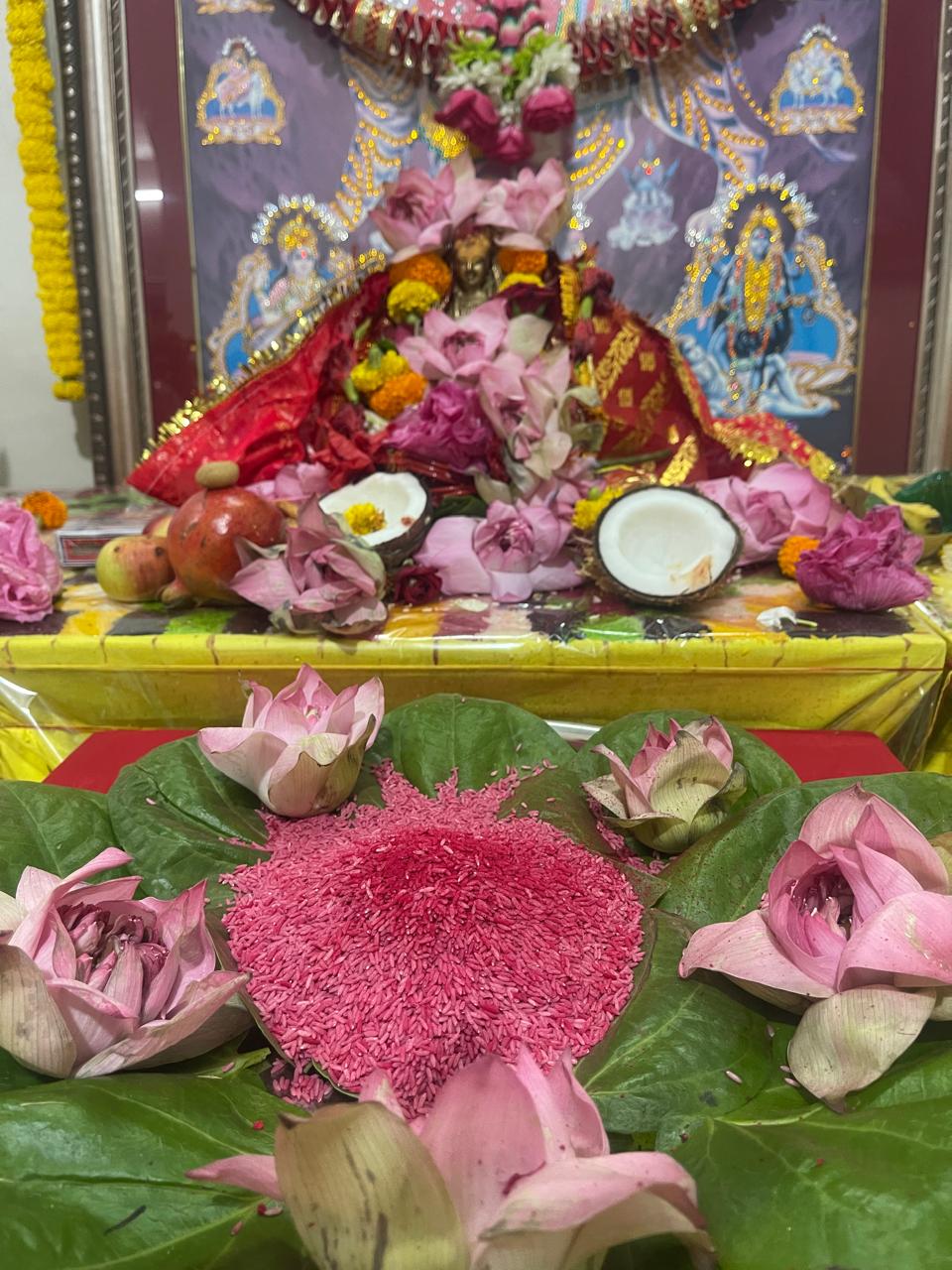 Teaching, ceremony and Vedic practice.